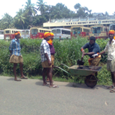 Talab Beautification